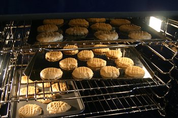 mrs-fields-peanut-butter-cookies-6 Type II Hood Cooking Uses